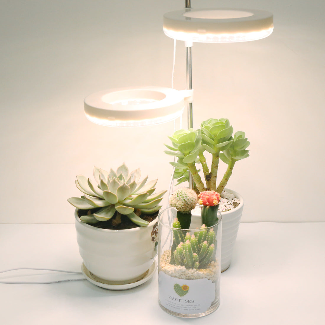 Home Office Plant Growth Lamp