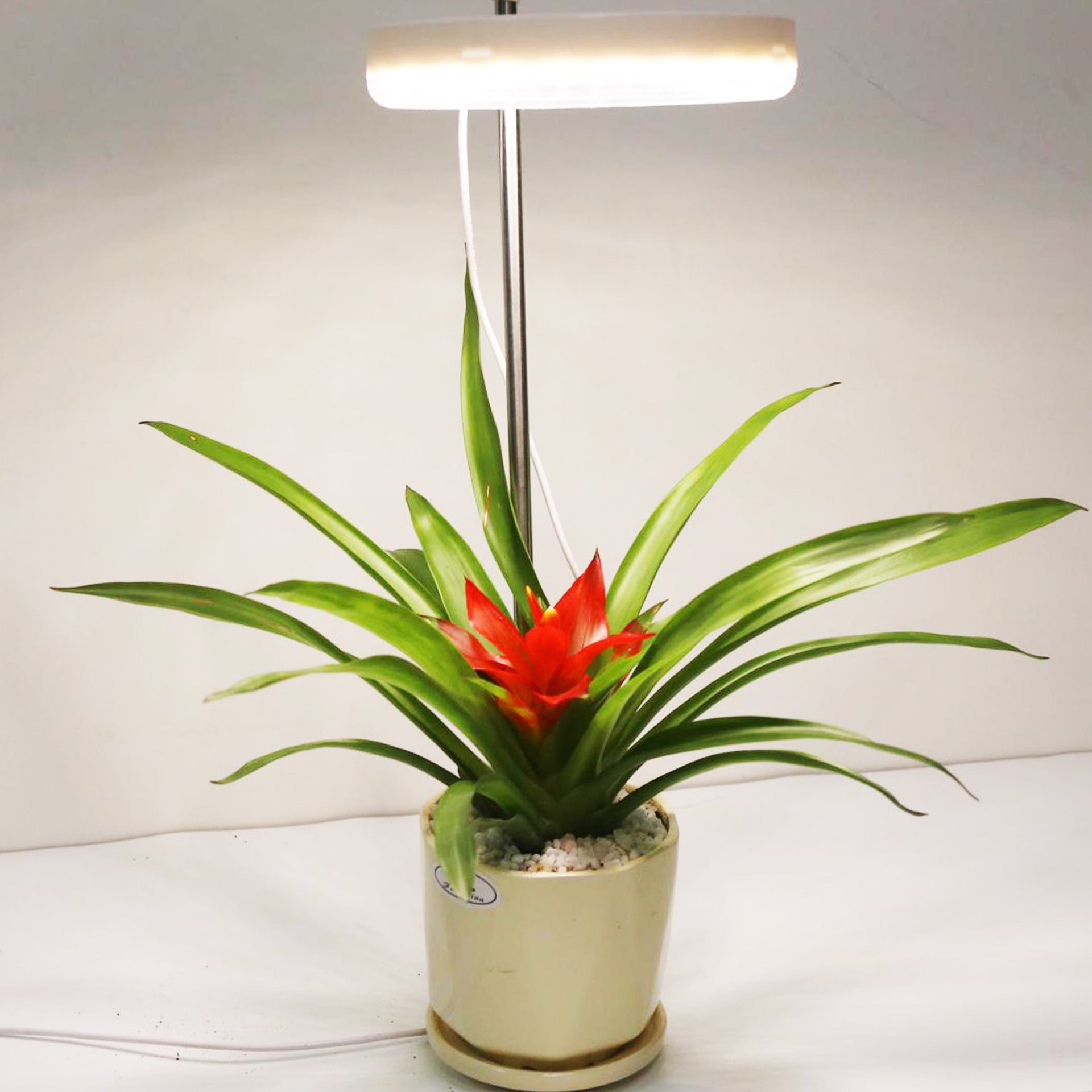 Home Office   Plant Growth Lamp