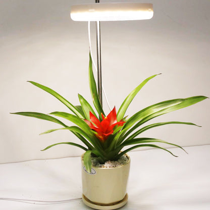 Home Office   Plant Growth Lamp