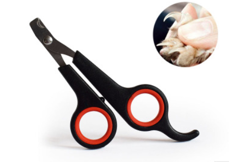 Dog  Pet Nail Scissors