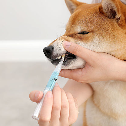 Pet Teeth Repairing Kit