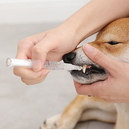 Pet Teeth Repairing Kit